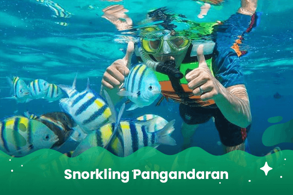 snorkeling pangandaran